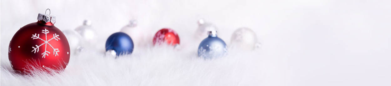 GEH Christmas Party - Dec. 2nd (+Mom's party Dec. 12th)